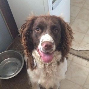 Meet your Posher, Tyler